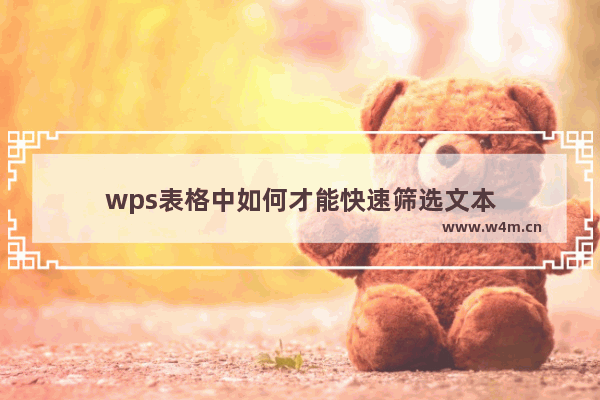 wps表格中如何才能快速筛选文本