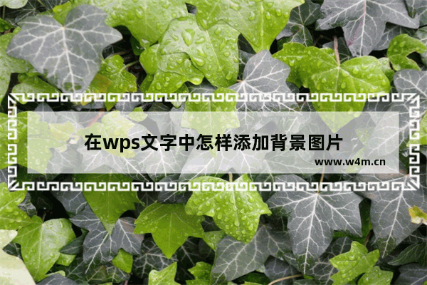 在wps文字中怎样添加背景图片