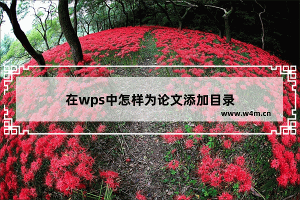 在wps中怎样为论文添加目录