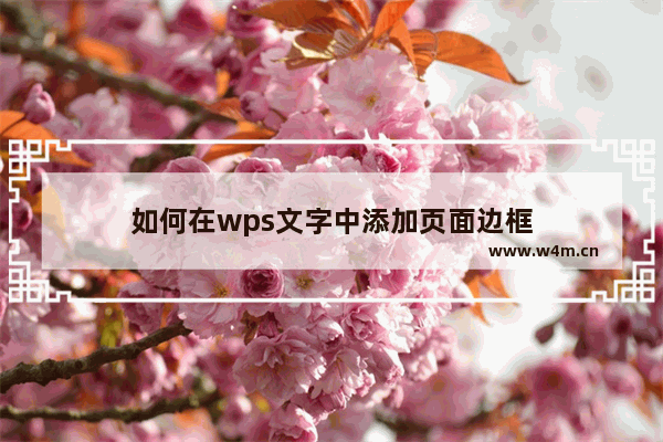 如何在wps文字中添加页面边框