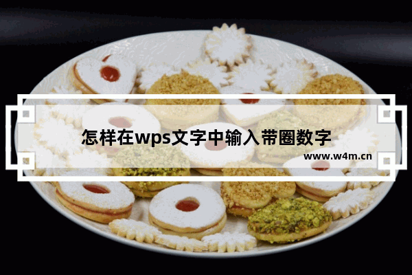 怎样在wps文字中输入带圈数字