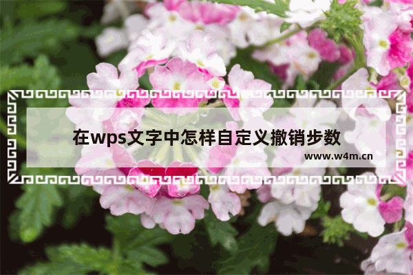 在wps文字中怎样自定义撤销步数