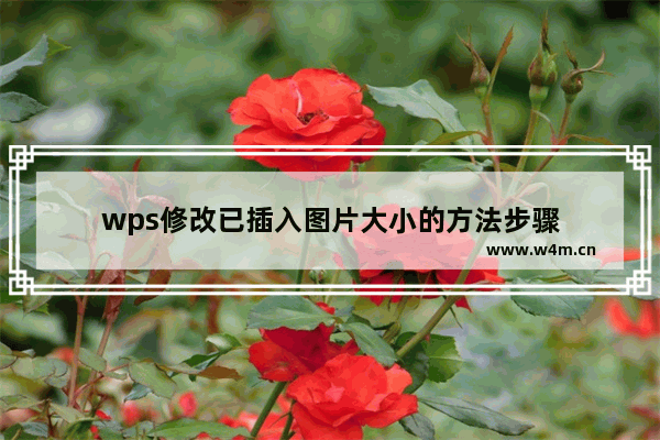 wps修改已插入图片大小的方法步骤