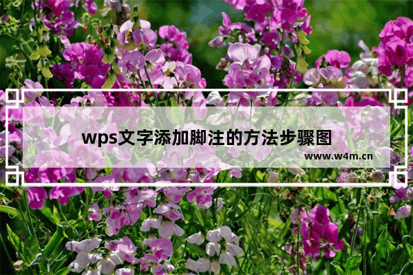 wps文字添加脚注的方法步骤图