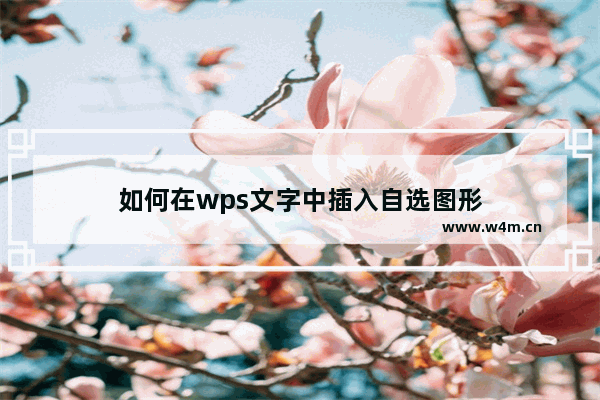 如何在wps文字中插入自选图形