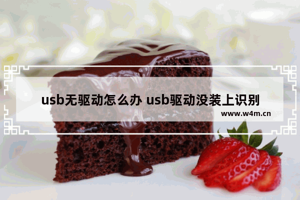 usb无驱动怎么办 usb驱动没装上识别不出u盘怎么办