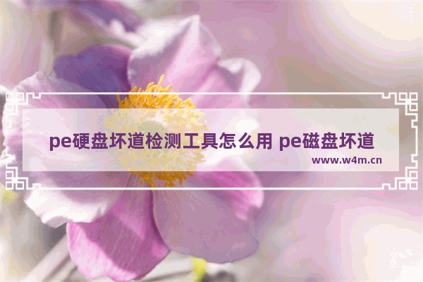 pe硬盘坏道检测工具怎么用 pe磁盘坏道检测修复工具