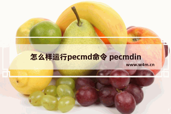 怎么样运行pecmd命令 pecmdini