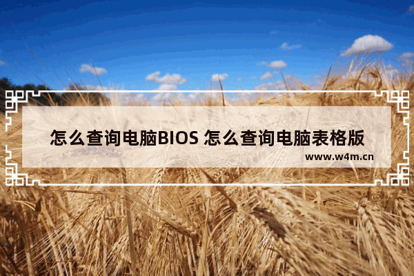 怎么查询电脑BIOS 怎么查询电脑表格版本信息