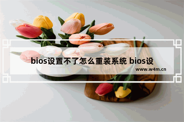 bios设置不了怎么重装系统 bios设置改不了