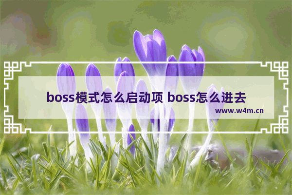 boss模式怎么启动项 boss怎么进去设置u盘启动