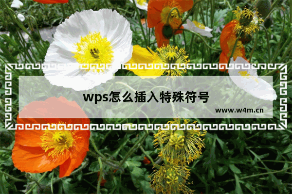 wps怎么插入特殊符号