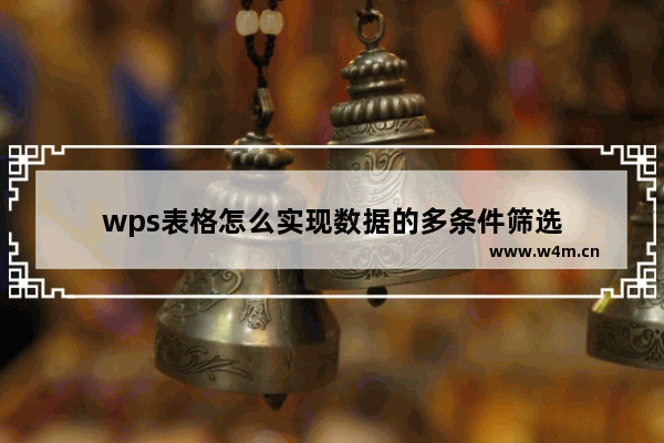 wps表格怎么实现数据的多条件筛选