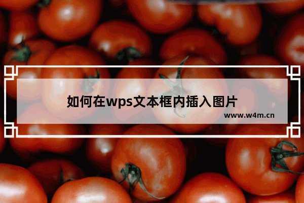 如何在wps文本框内插入图片