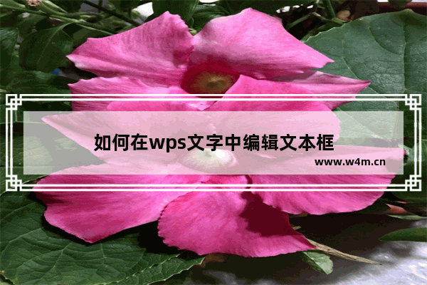 如何在wps文字中编辑文本框