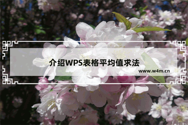 介绍WPS表格平均值求法