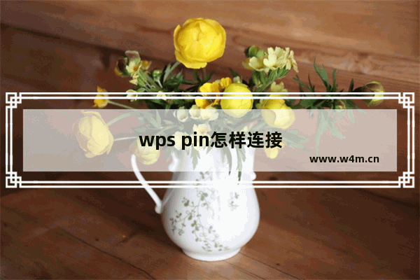 wps pin怎样连接