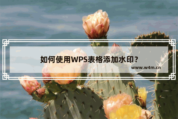 如何使用WPS表格添加水印？