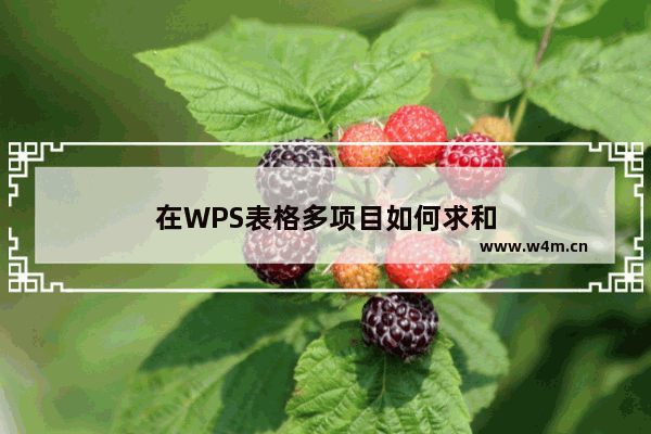 在WPS表格多项目如何求和