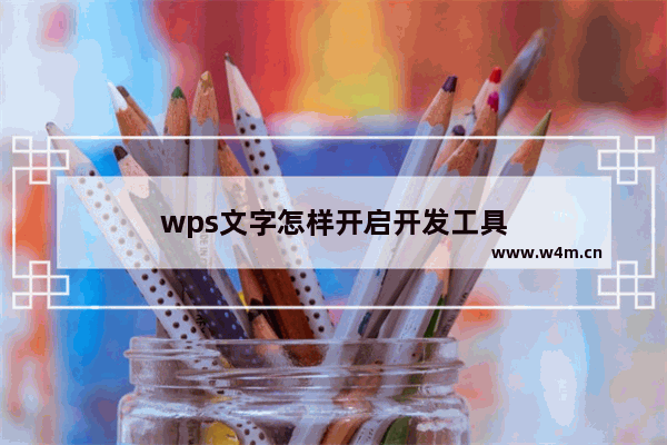 wps文字怎样开启开发工具