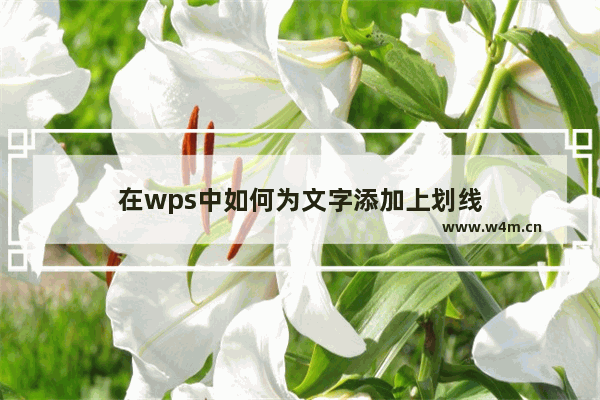 在wps中如何为文字添加上划线