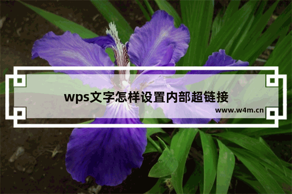 wps文字怎样设置内部超链接