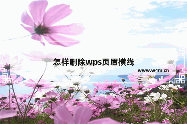 怎样删除wps页眉横线