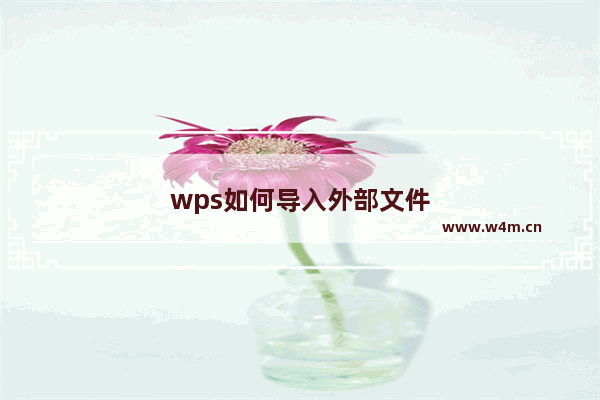 wps如何导入外部文件