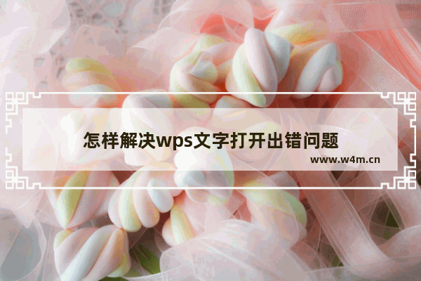 怎样解决wps文字打开出错问题