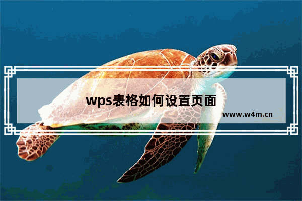 wps表格如何设置页面