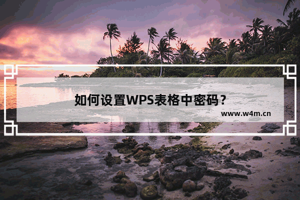 如何设置WPS表格中密码？