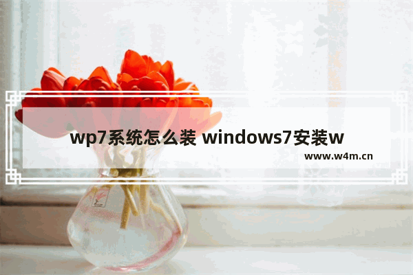 wp7系统怎么装 windows7安装wps