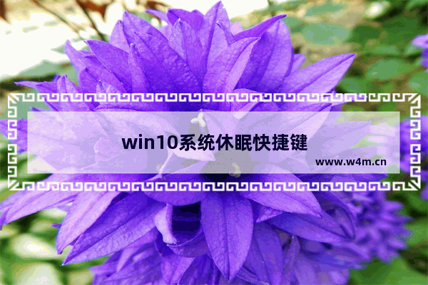 win10系统休眠快捷键