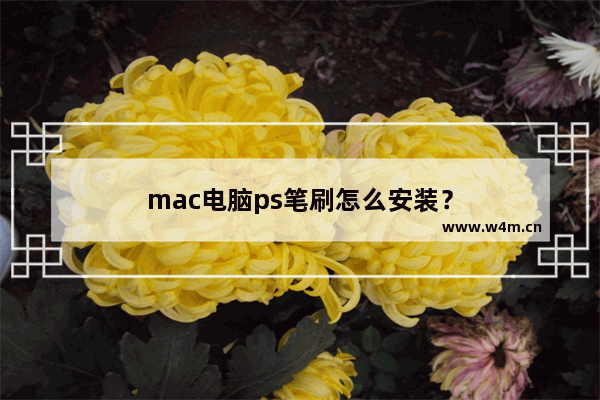 mac电脑ps笔刷怎么安装？