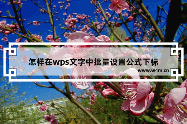 怎样在wps文字中批量设置公式下标