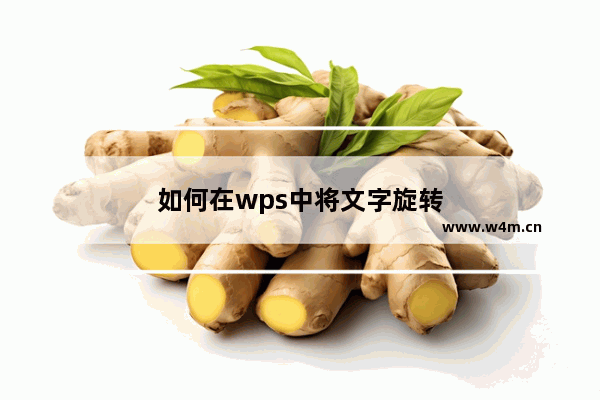 如何在wps中将文字旋转