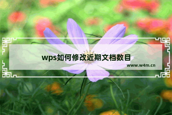 wps如何修改近期文档数目