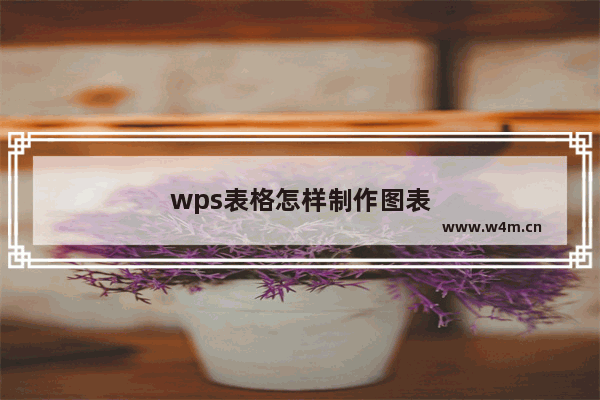 wps表格怎样制作图表