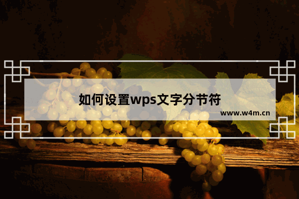 如何设置wps文字分节符