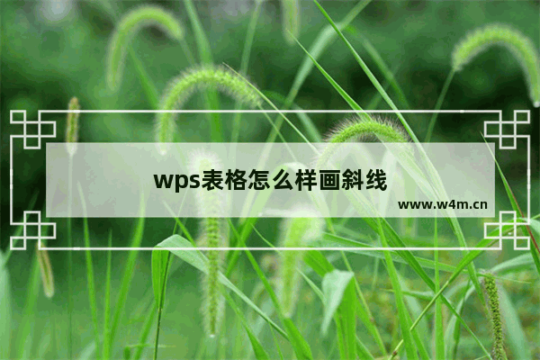 wps表格怎么样画斜线