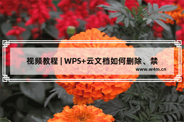 视频教程 | WPS+云文档如何删除、禁用账号