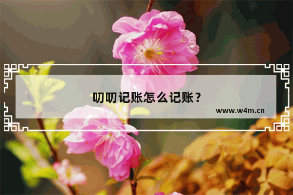 叨叨记账怎么记账？