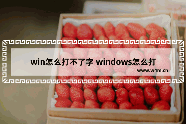 win怎么打不了字 windows怎么打不了字