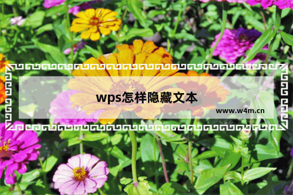 wps怎样隐藏文本