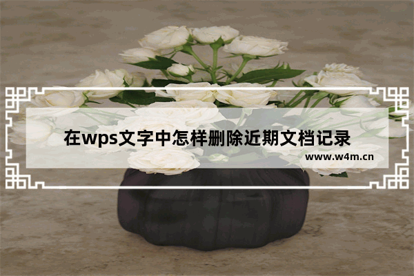 在wps文字中怎样删除近期文档记录