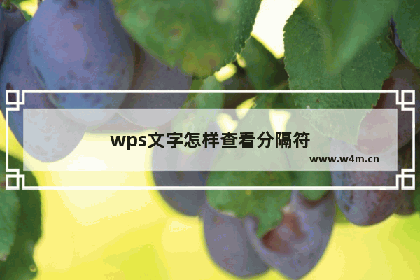 wps文字怎样查看分隔符