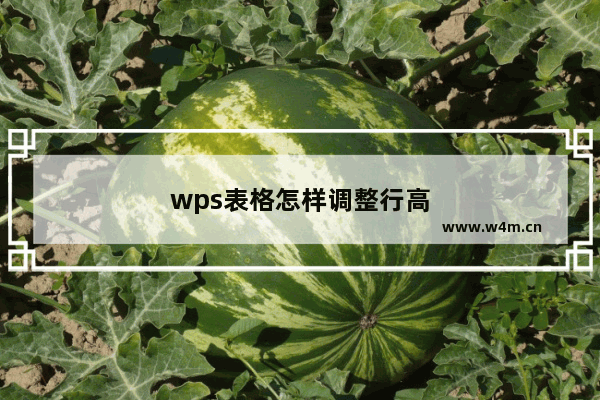 wps表格怎样调整行高