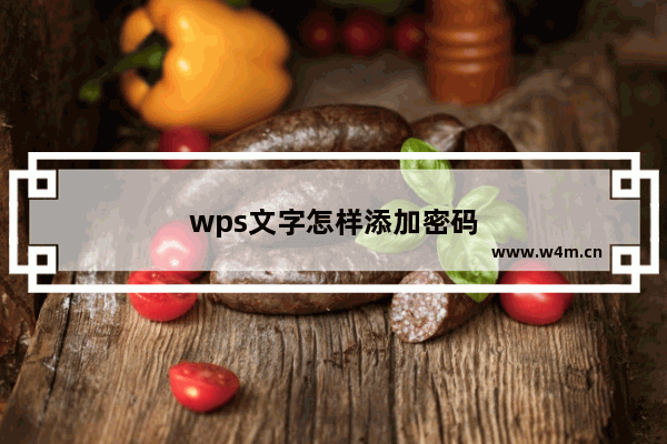 wps文字怎样添加密码