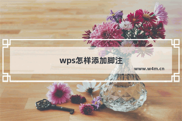 wps怎样添加脚注