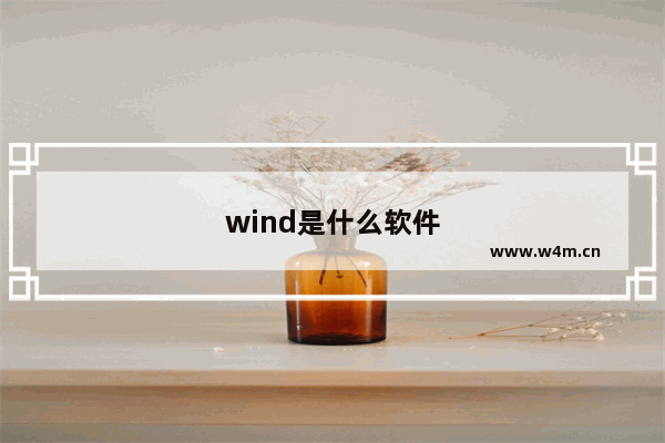 wind是什么软件